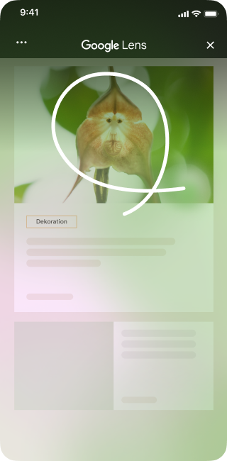 Auf einer Website mit Blumenbild öffnet eine Person auf einem iPhone die Seitentools und wählt „Bildschirmsuche“ aus.